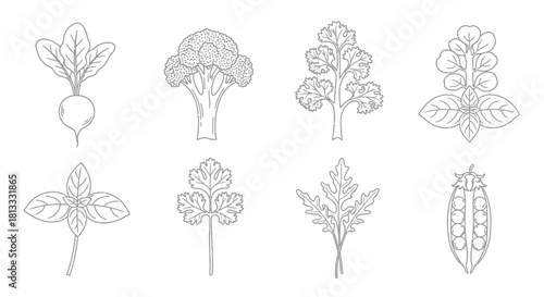 Hand drawn vegetables isolated on white background in sketch style vector