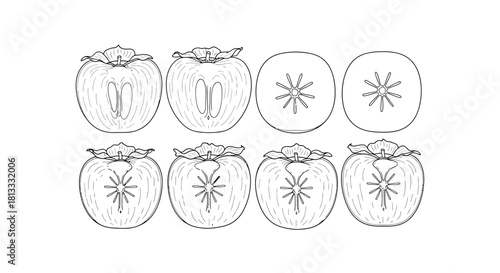 Hand drawn persimmon fruit illustration isolated on white background