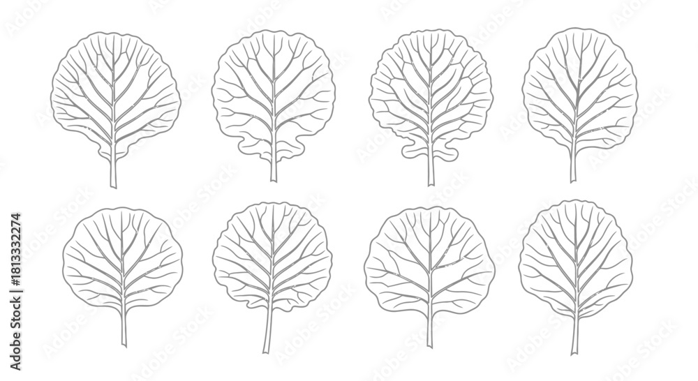 Obraz premium Hand drawn kale leaves isolated on white background, vector illustration