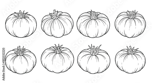 Hand drawn set of heirloom tomato varieties isolated on white background