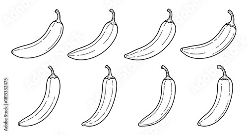 Jalapeno pepper line art illustration, isolated on white background