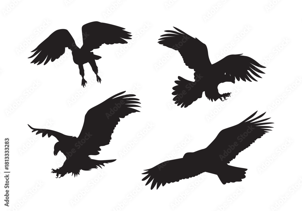Obraz premium Eagle in flight vector isolated. Flying eagle, different poses.