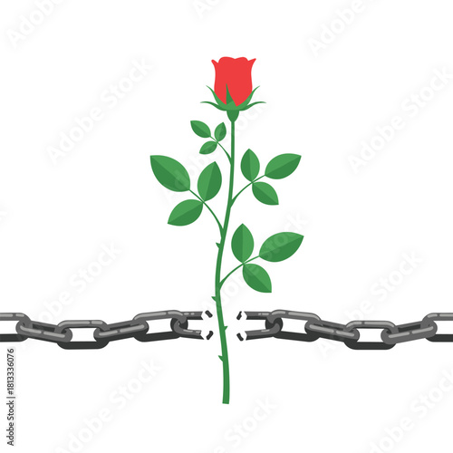 Powerful concept of a single red rose with a strong stem breaking a heavy metal chain, symbolizing love conquering all.