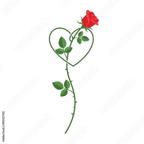 Elegant design of a single red rose whose thorny green stem gracefully loops to form a perfect heart shape, symbolizing love.