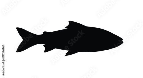 Abstract geometric silhouette design with vibrant color accents and helvetica courier typography