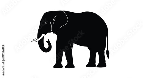 Abstract geometric shapes with a striking silhouette effect in vibrant cmyk colors and grayscale tones for diverse design applications silhouette