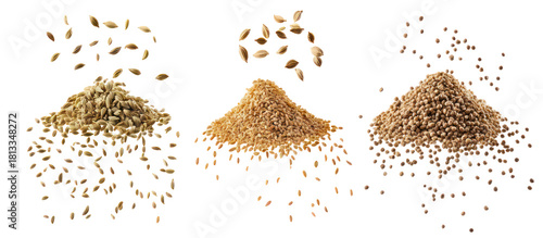 Three piles of fennel seeds cumin seeds and coriander seeds on transparent background