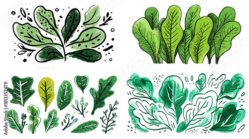 A vibrant illustration set of green leafy vegetables drawn in a bold artistic style, featuring various leaves and organic shapes. Perfect for food themes, healthy eating, botanical art, and garden des