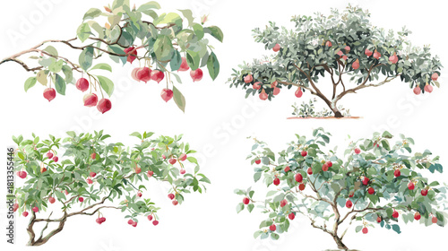 A delicate watercolor illustration set of fruit trees with lush green leaves and bright red fruits, painted in a natural organic style. Perfect for botanical themes, garden design, farm artwork, and n