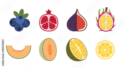 Assortment of fresh fruits colorful vector illustrations for design
