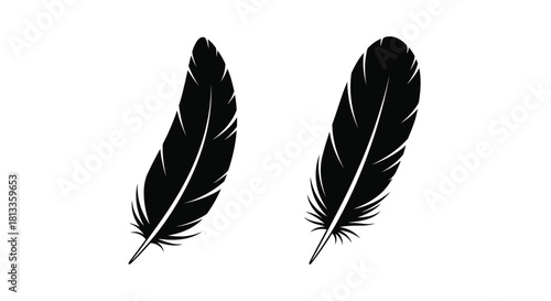 Two black feathers displayed against a clean white background simply and elegantly