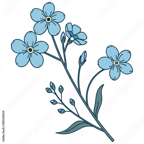 Forget- Me- Not Flowers with Blue Petals and Yellow Centers forget me not floral