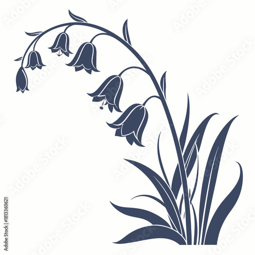 Bluebell Flowers Silhouette with Leaves on White Background floral plant