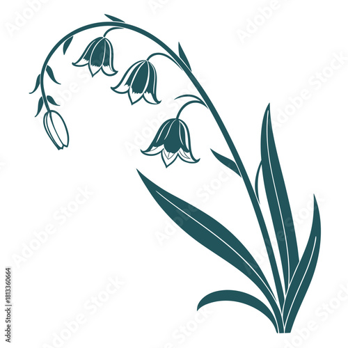 Teal Blue Lily of the Valley Flowers and Buds Illustration bloom