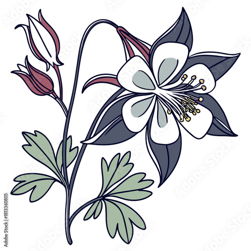 Columbine Flower Illustration with Buds and Leaves icon multi