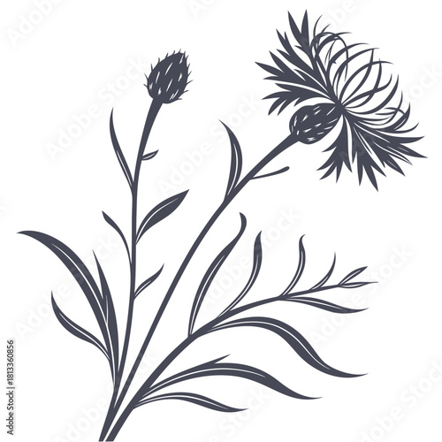 Gray Cornflower Silhouette with Buds and Leaves icon petals