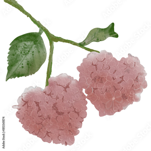 beautiful Pink heart flowers with green leave