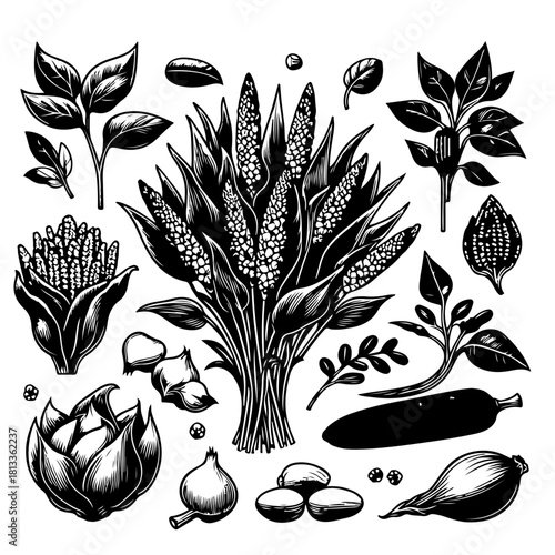 Detailed botanical illustration showcasing various plants and vegetables in black and white style art