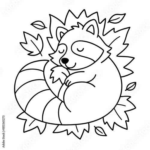 Outline drawing of a sleeping raccoon curled up on leaves with a striped tail design