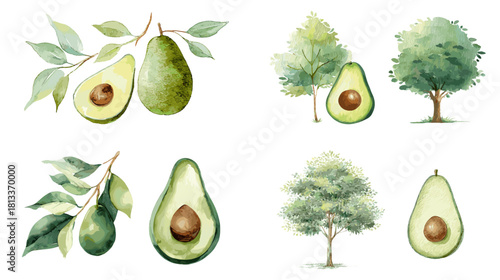 A soft watercolor illustration set of avocados and avocado trees, showing whole fruits, sliced halves, and green leaves. Ideal for food themes, botanical art, farming design, and organic produce conce