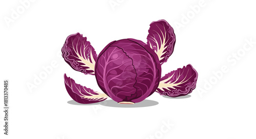 A round red cabbage with loose leaves is displayed against a white background.