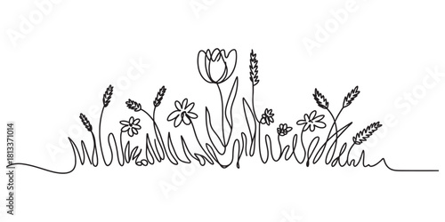 Continuous line drawing of a minimalist spring field, featuring blooming tulip, delicate daisies, wheat stalks, flowing grass.
