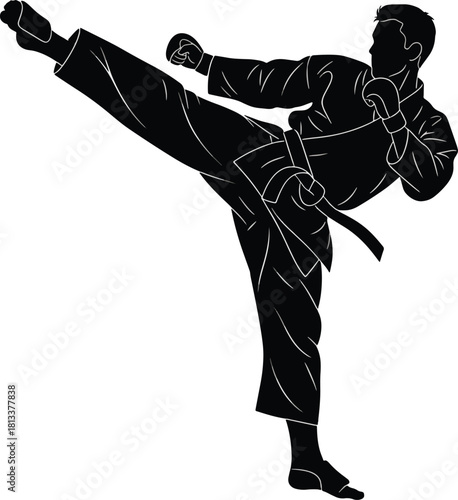 Martial arts high kick silhouette Vector