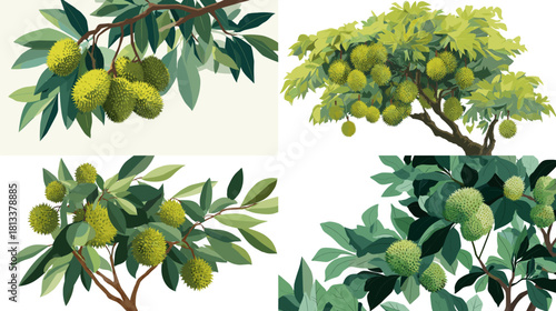 A vibrant illustration of tropical fruit trees with lush green leaves and textured round fruits. Perfect for botanical themes, agriculture visuals, garden designs, and natural food projects.