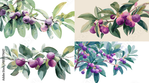 A soft watercolor illustration of purple fruit branches with lush green leaves and natural textures. Ideal for botanical artwork, food themes, garden designs, and elegant nature visuals.