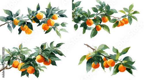 A refreshing watercolor illustration of orange fruit branches with lush green leaves and detailed textures. Perfect for botanical artwork, food design, packaging, and natural garden themes.