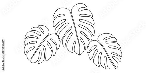 Continuous one line drawing of three monstera deliciosa leaves. minimalist tropical foliage art. elegant botanical vector graphic.