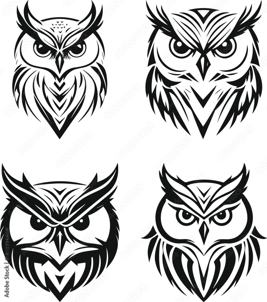 Fototapeta premium set of owl