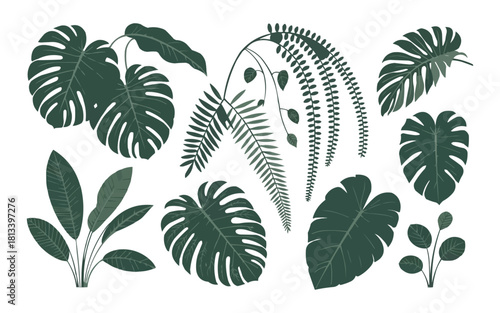 Invite nature indoors with this lush collection of tropical foliage, perfect for botanical designs, vibrant wallpapers, and adding organic elegance