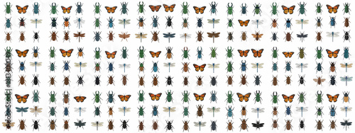 Colorful insect vector pattern featuring stag beetles, monarch butterflies, and dragonflies repeating seamlessly on a white background.