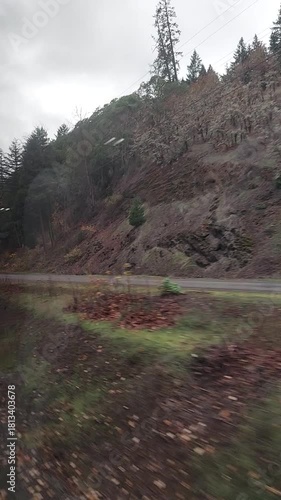 vertical video shot through train window while traveling in Oregon. Typical Oregon gloomy light, but also stunningly majestic and awe inspiring. This one has a car, and felt like the start of a story.