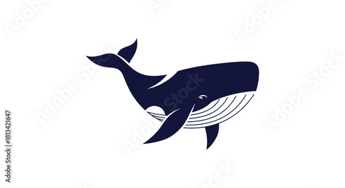 Stylized navy whale illustration on white background vector design