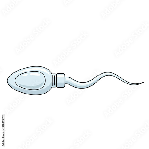 Single Sperm Cell Cartoon Illustration Depicting Human Reproduction and Biological Conception