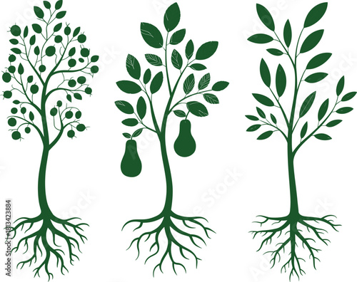 Fruit tree silhouettes with detailed roots featuring berry branches, pear fruits and leafy botanical designs for natural illustration