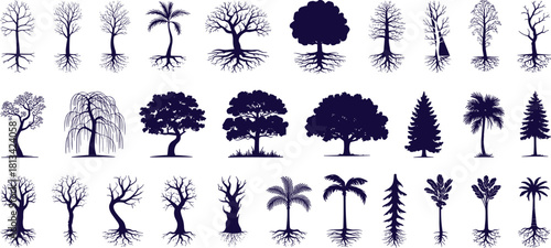 Large collection of diverse tree silhouettes featuring tropical, deciduous, leafless, forest and artistic shapes for illustration, design, decoration, backgrounds