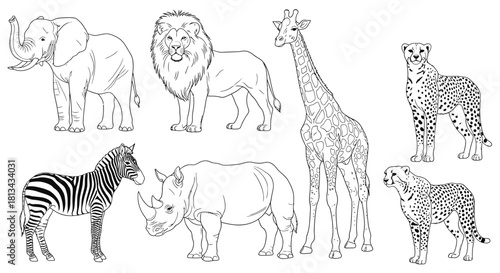 Line art illustration of various African animals including an elephant, lion, giraffe, zebra, rhino, and cheetahs.