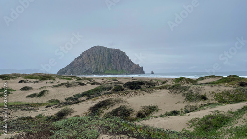 Fototapeta Naklejka Na Ścianę i Meble -  Volcanic Sea Stack Rising Above Coastal Dunes