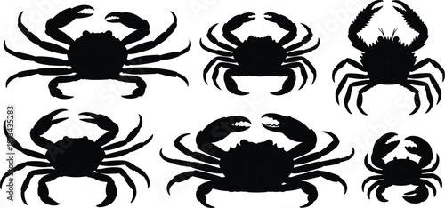 Black and white crab illustration collection showing detailed marine crustaceans, hand drawn ocean animal sketches, sea life artwork for design and education