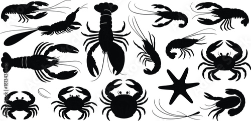 Black and white detailed illustration of sea creatures with crab lobster shrimp starfish shell marine seafood drawing collection underwater design