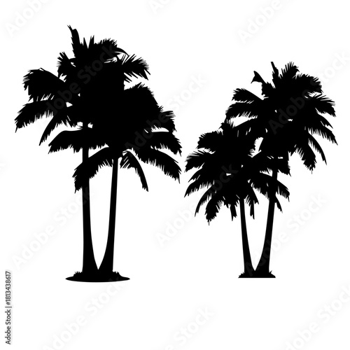 Wallpaper Mural black silhouette of two  palm tree silhouette with pure white background Torontodigital.ca