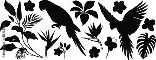 Black and white detailed illustration of tropical parrots with exotic flowers and palm leaves in elegant botanical vintage engraving style