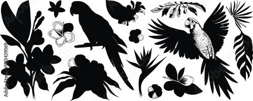 Black and white detailed illustration of tropical parrots with exotic flowers and palm leaves in elegant botanical vintage engraving style