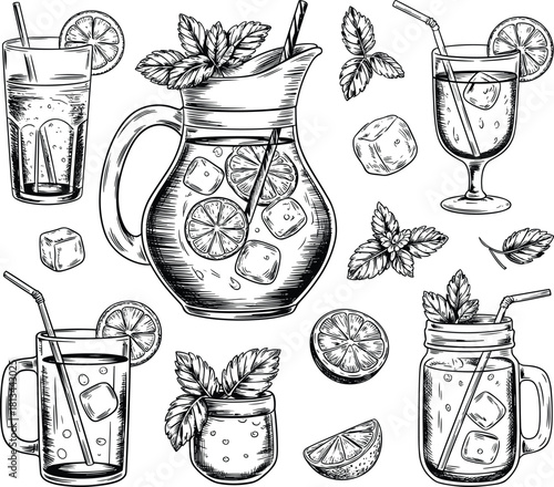 Black and white lemonade drink illustration set with glass pitcher mint leaves ice cubes citrus slice summer beverage drawing collection