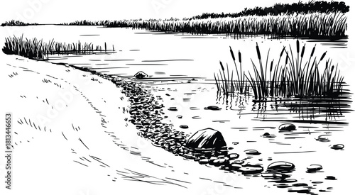 Black and white riverbank landscape illustration with water rocks reeds and grass detailed nature scenery peaceful lake shore drawing