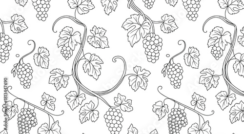 Black and white seamless grapevine pattern with leaves and grape clusters in elegant botanical line art for decorative design