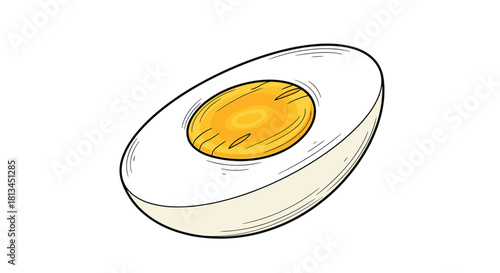 A beautifully illustrated hard-boiled egg, sliced in half to display its perfectly cooked white and rich yellow yolk, against a bright white backdrop.